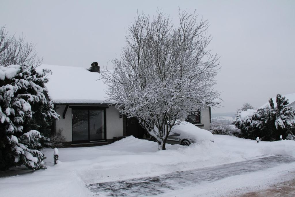 B&B Sol Magnus Stavelot Bagian luar foto