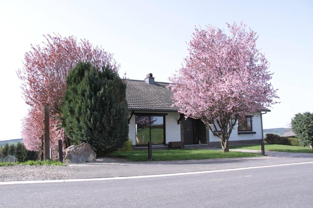 B&B Sol Magnus Stavelot Bagian luar foto