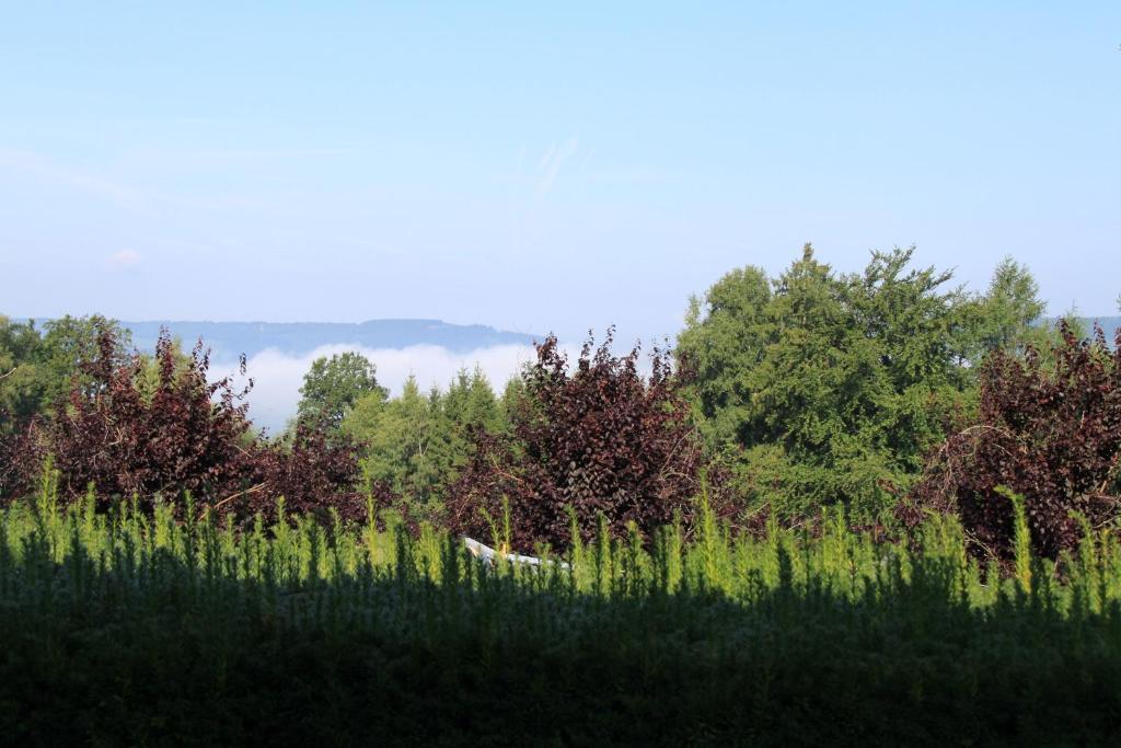 B&B Sol Magnus Stavelot Bagian luar foto